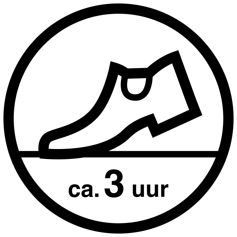 ARM610